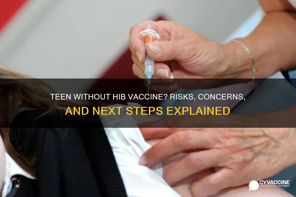 what if my teenager hasnt had a hib vaccine