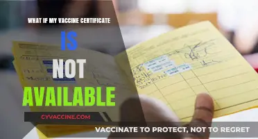 Missing Vaccine Certificate? Steps to Retrieve or Replace It Easily