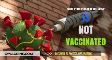 Unvaccinated in the Group: Risks, Concerns, and Social Dynamics Explored