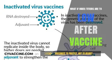 Low Antibody Levels Post-Vaccination: Concerns and Potential Solutions