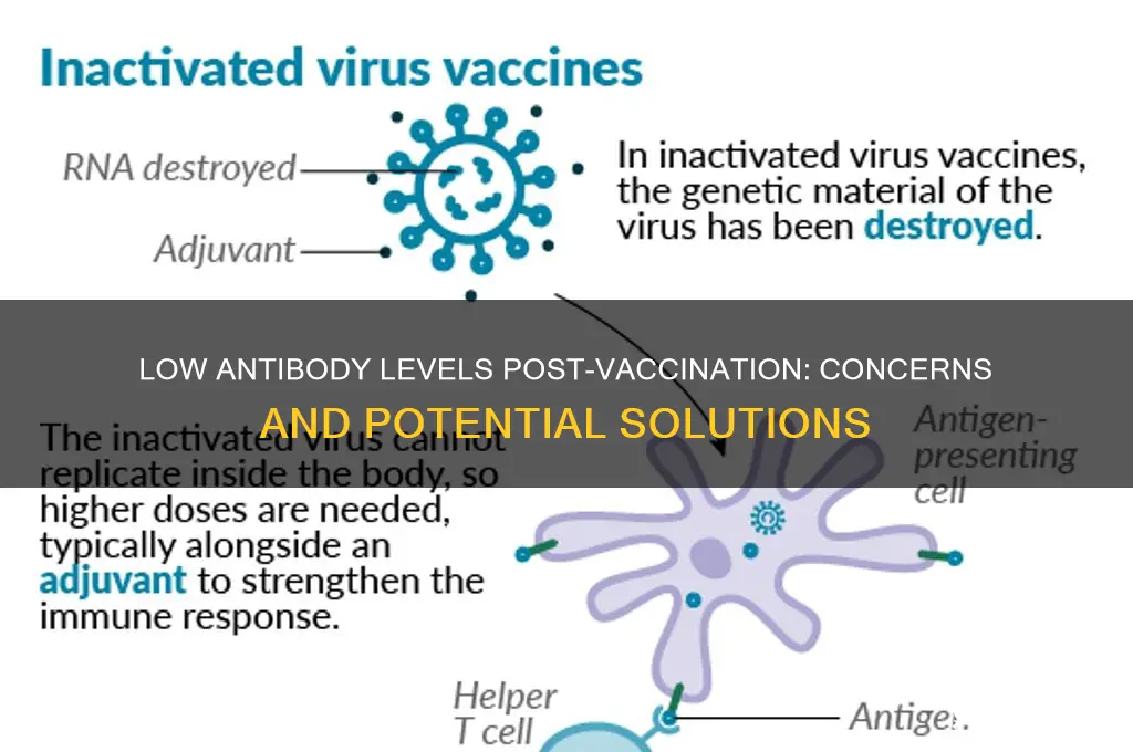 what if rbies titiers are to low after vaccine