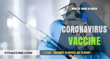 A World Without a COVID-19 Vaccine: Exploring the Uncertain Future