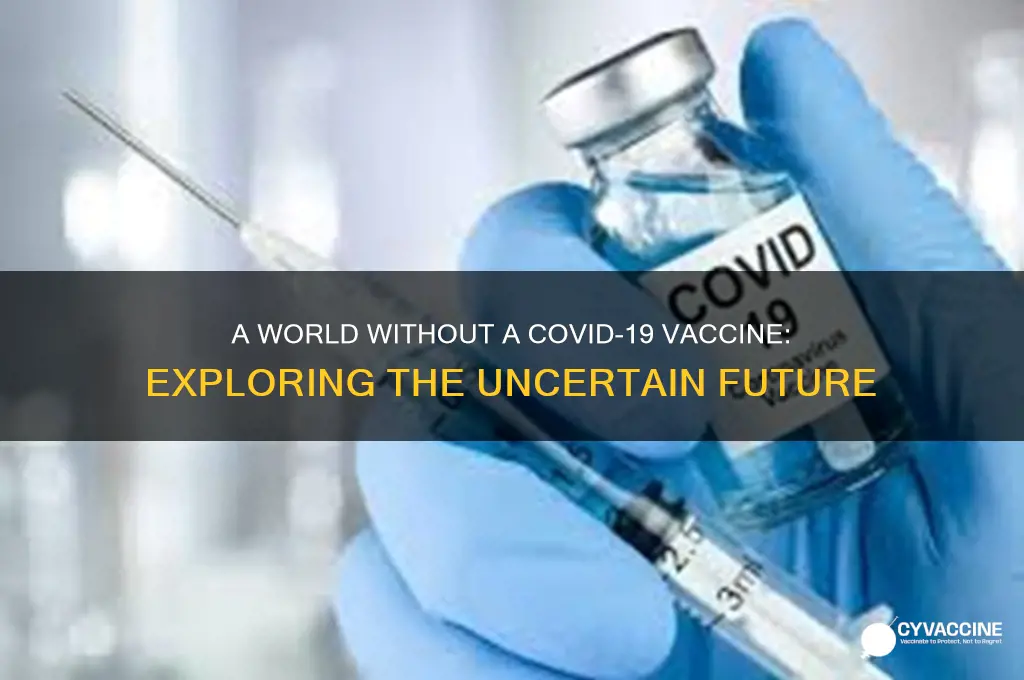 what if there is never a coronavirus vaccine
