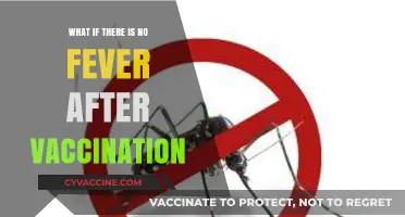 No Fever After Vaccination: What It Means and Why It’s Normal