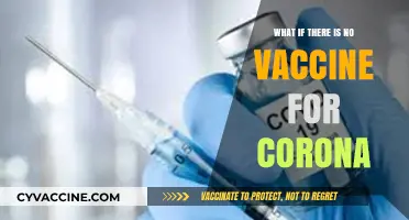 A World Without a COVID-19 Vaccine: Challenges and Alternatives
