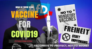 A World Without a COVID-19 Vaccine: Uncertain Future Ahead