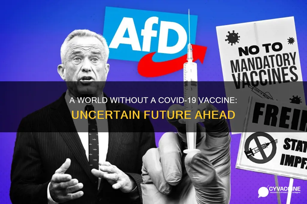 what if there is no vaccine for covid19