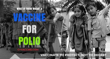 A World Without Polio Vaccines: Devastating Consequences and Lessons Learned