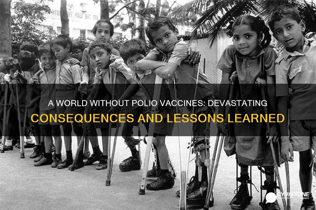 what if there wasnt a vaccine for polio