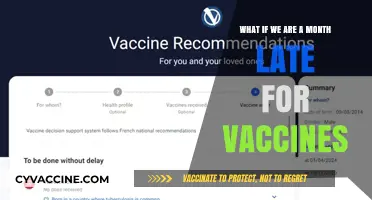 Late Vaccines: Risks, Consequences, and Catch-Up Strategies Explained