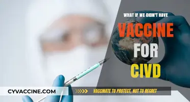 A World Without COVID Vaccines: Imagining the Devastating Consequences