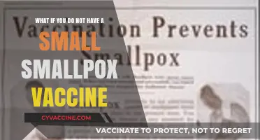 No Smallpox Vaccine? Understanding Risks and Prevention Strategies