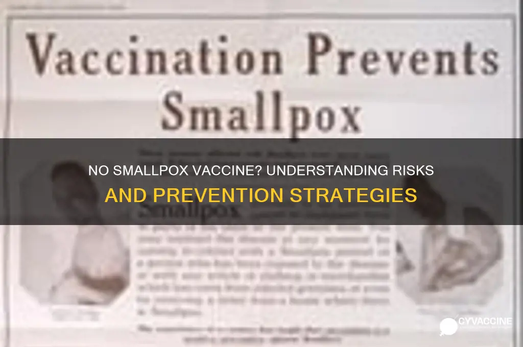 what if you do not have a small smallpox vaccine