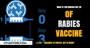 Missed Day 28? Understanding Rabies Vaccine Consequences and Next Steps