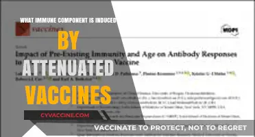 Attenuated Vaccines: Unlocking the Induced Immune Component for Long-Term Protection