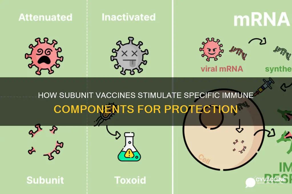 what immune component is induced by subunit vaccines