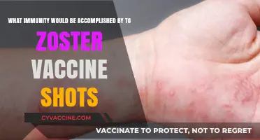 Zoster Vaccine Shots: Achieving Lasting Immunity Against Shingles