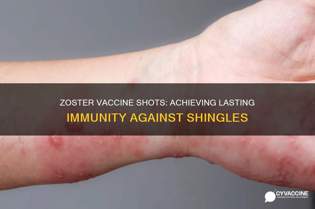 what immunity would be accomplished by to zoster vaccine shots