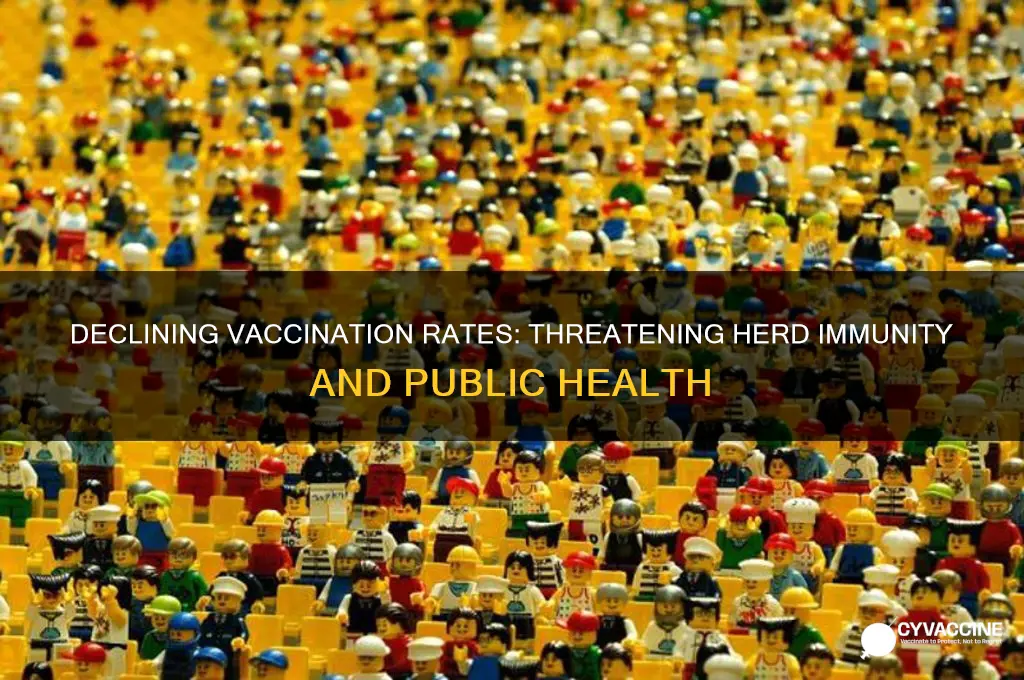 what impact does reduced vaccination have on herd immunity