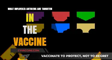 Influenza Vaccine Targets: Key Antigens for Effective Immunity Explained