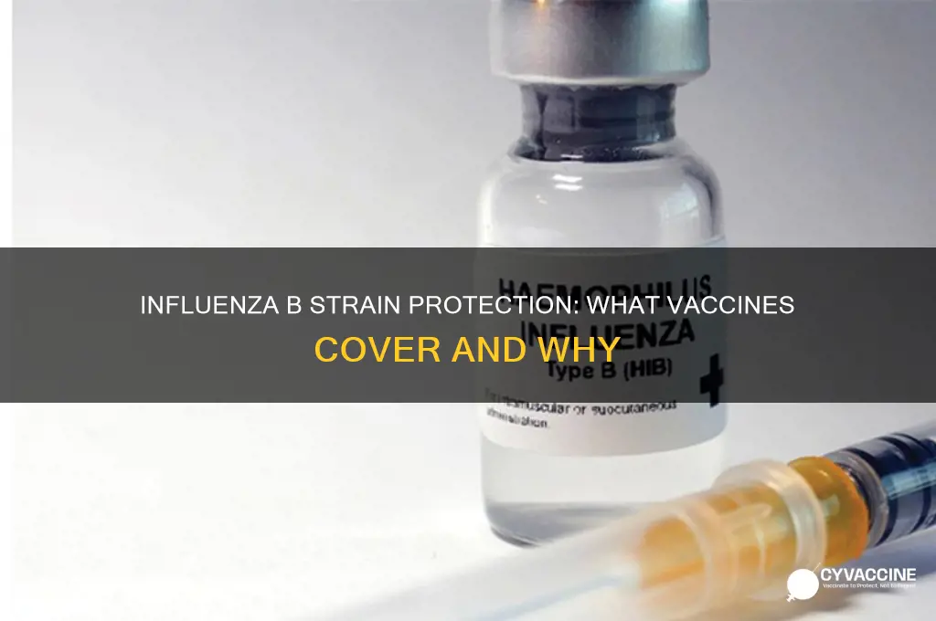 what influenza b strain does the vaccines protect against