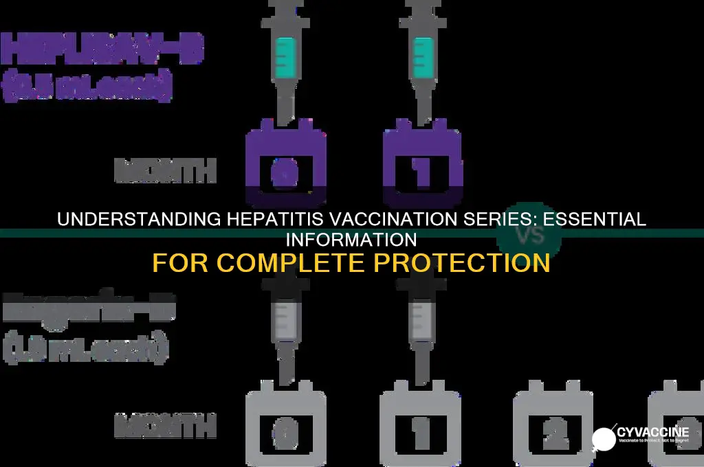 what information about the vaccination series for hepatitis