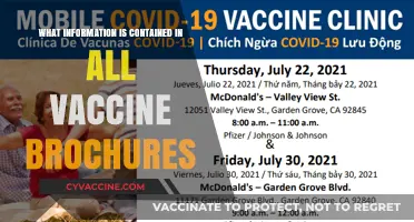 Essential Vaccine Brochure Details: What Every Patient Should Know