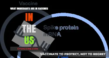 Understanding Vaccine Ingredients: A Breakdown of US Formulations