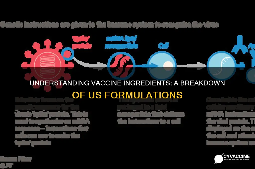what ingrediants are in vaccines in the us