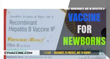 Hepatitis B Vaccine for Newborns: Key Ingredients Explained