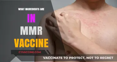 MMR Vaccine Ingredients Explained: Understanding the Components and Safety