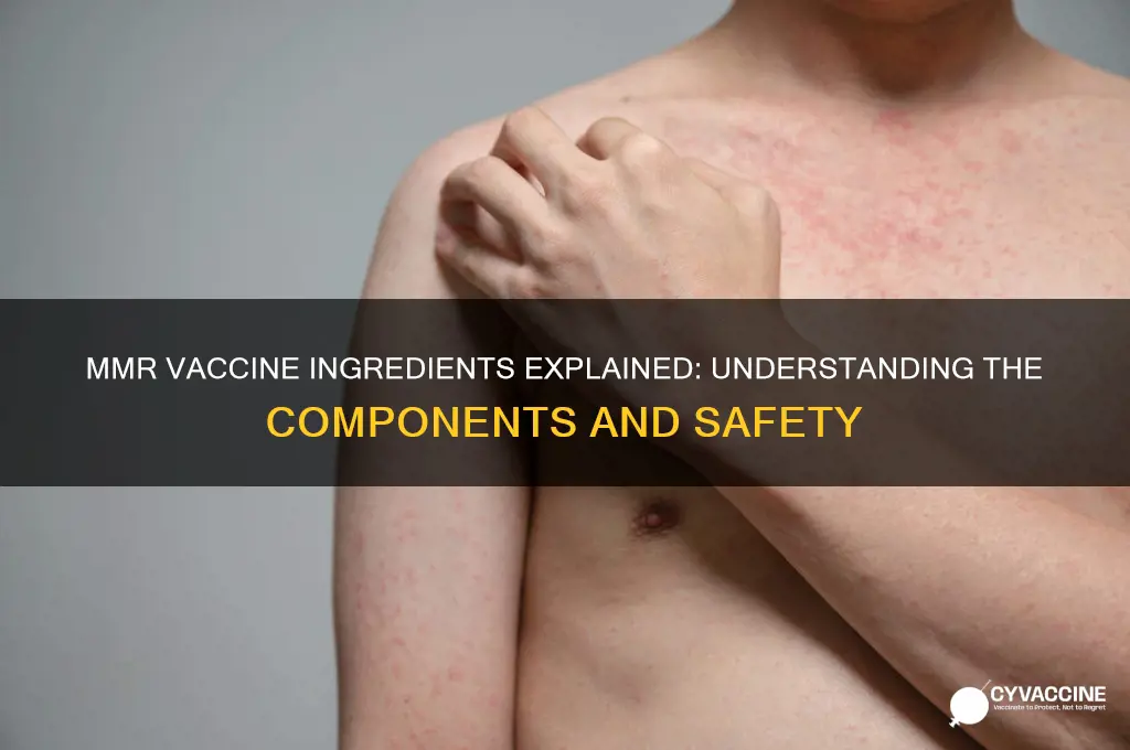 what ingredients are in mmr vaccine