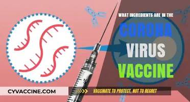 Unveiling the Key Ingredients in the COVID-19 Vaccine: A Breakdown