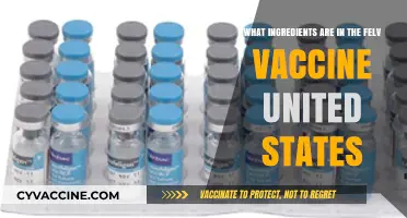 Understanding the Ingredients in the U.S. FeLV Vaccine Composition