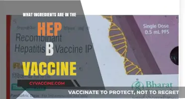 Hepatitis B Vaccine Ingredients: A Comprehensive Breakdown of Components