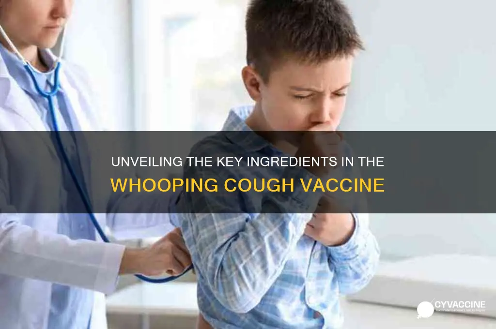 what ingredients are in the whooping cough vaccine