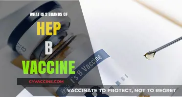 Two Leading Hepatitis B Vaccine Brands: A Comprehensive Overview