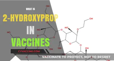 Understanding 2-Hydroxypropyl-ß-Cyclodextrin's Role in Modern Vaccine Formulations