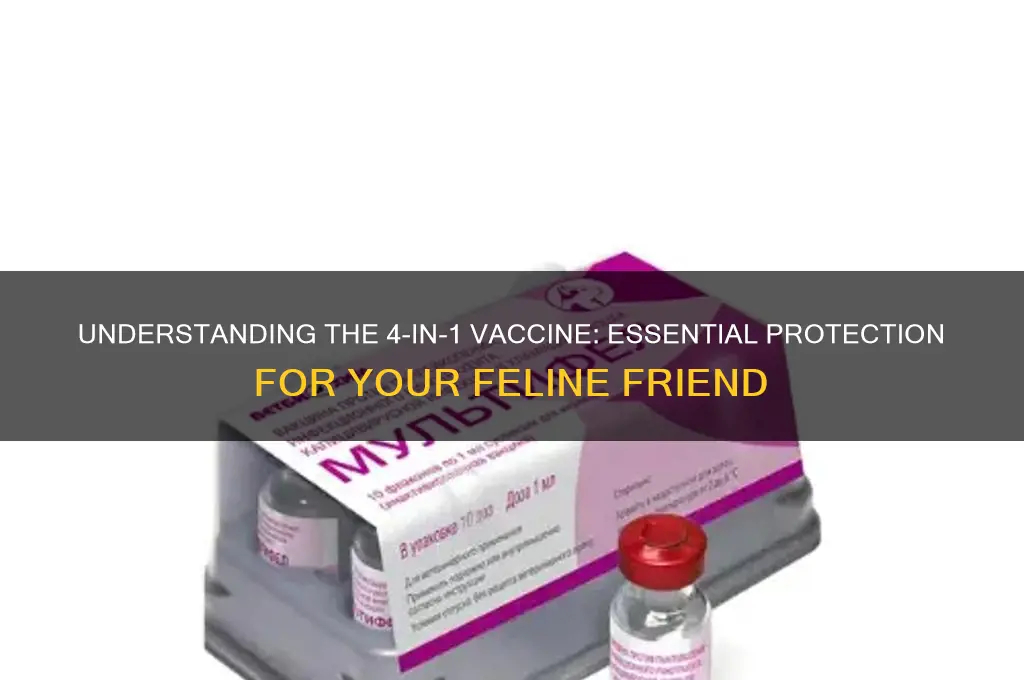 what is 4 in 1 vaccine for cats