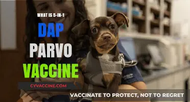 Understanding the 5-in-1 DAP Parvo Vaccine for Dogs