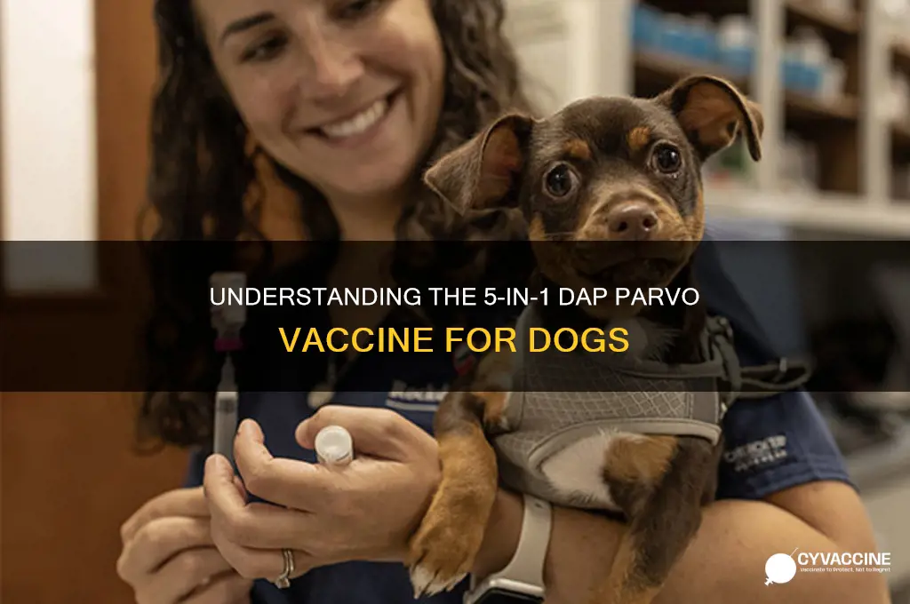 what is 5-in-1 dap parvo vaccine