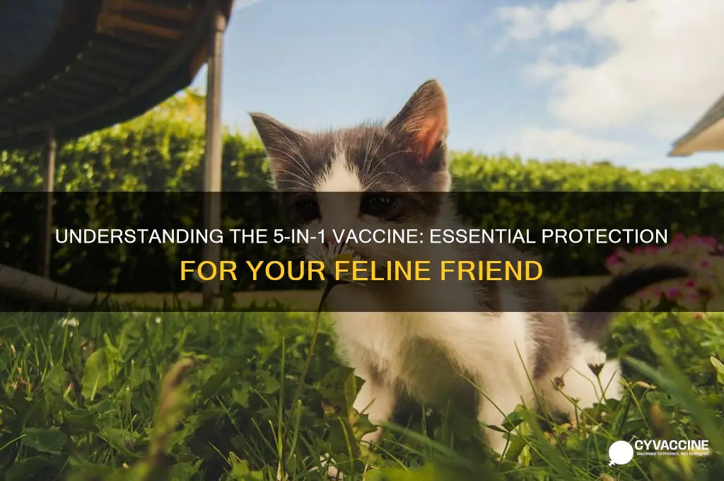 what is 5 in 1 vaccine for cats
