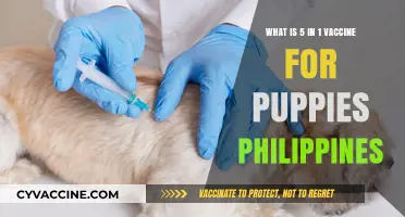 Understanding the 5-in-1 Puppy Vaccine in the Philippines