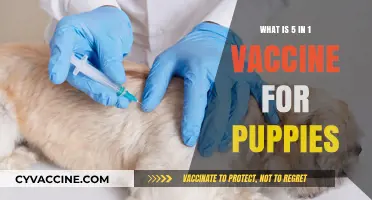 Understanding the Essential 5-in-1 Puppy Vaccine for Optimal Health