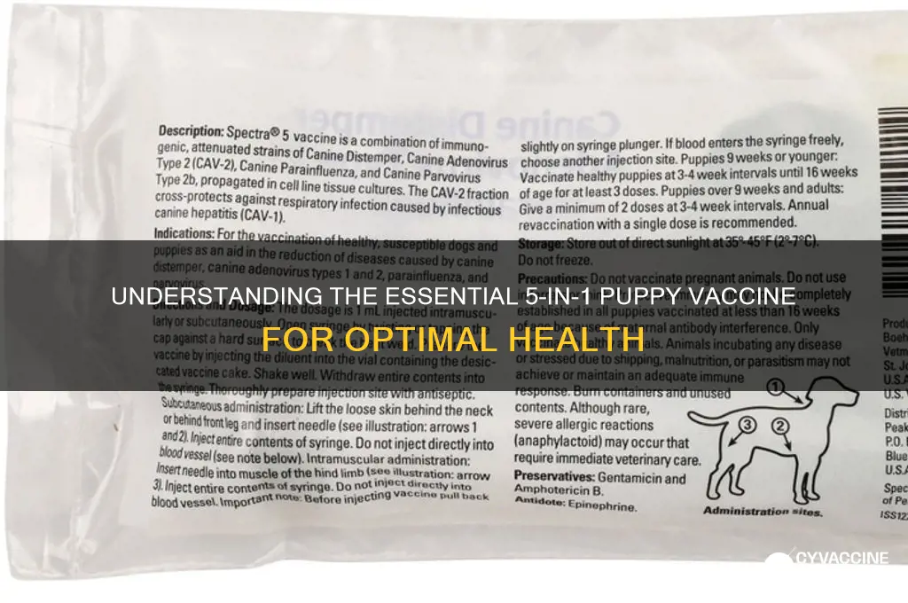 what is 5 in 1 vaccine for puppies