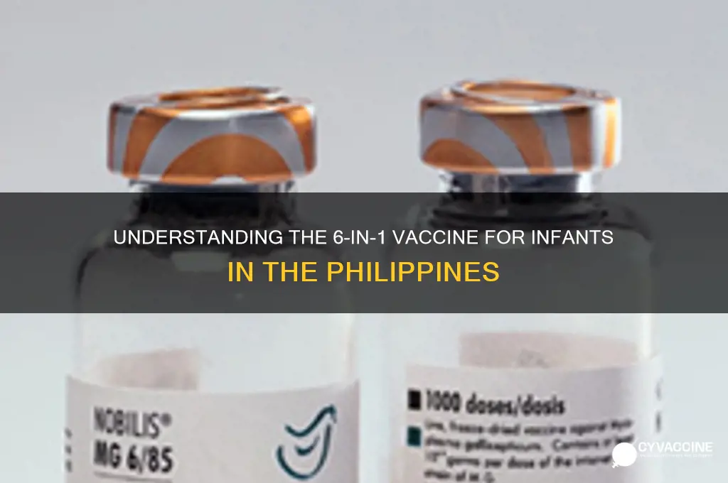 what is 6 in 1 vaccine for babies philippines