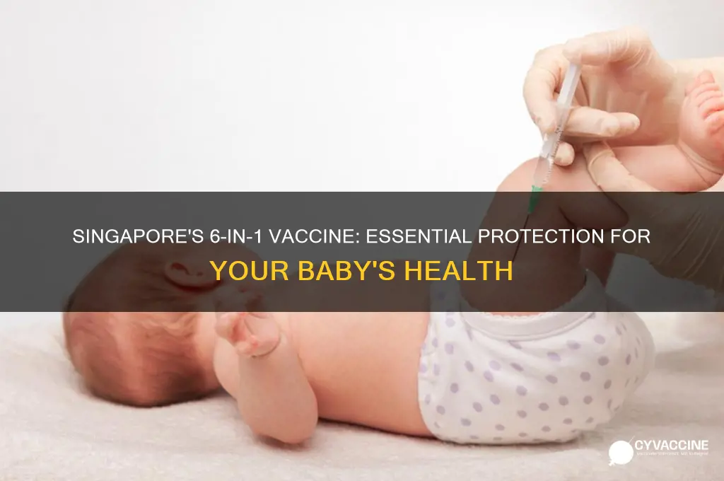 what is 6 in 1 vaccine for babies singapore