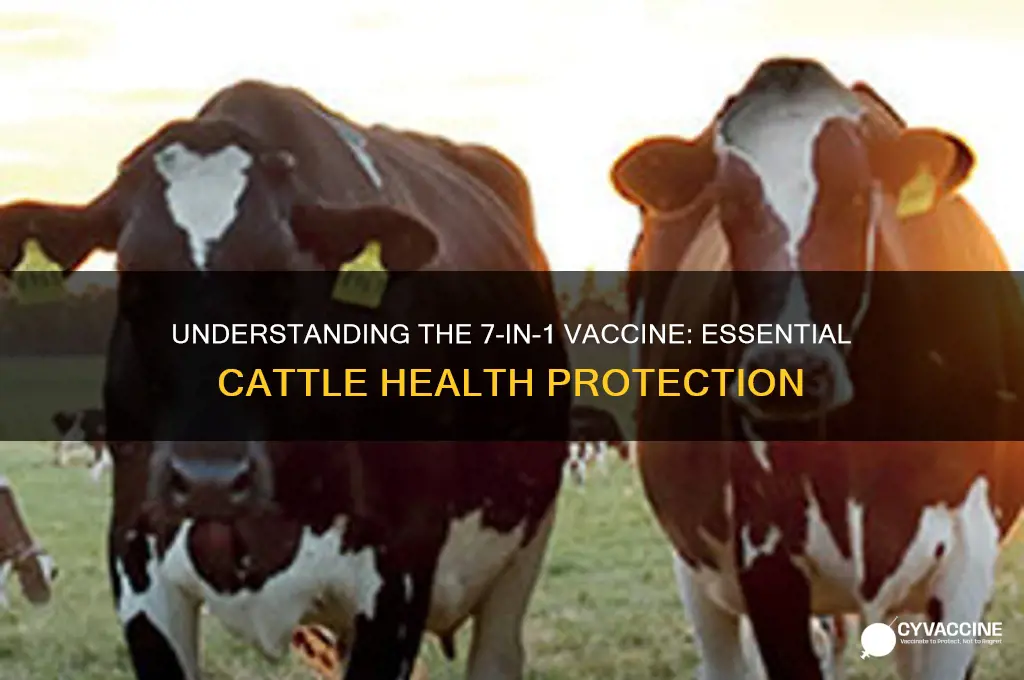 what is 7 in 1 vaccine for cattle