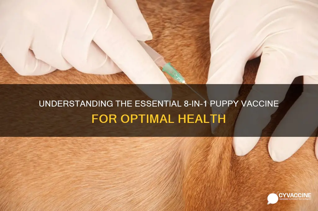what is 8 in 1 vaccine for puppies