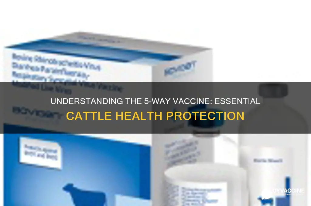 what is a 5-way vaccine for cattle